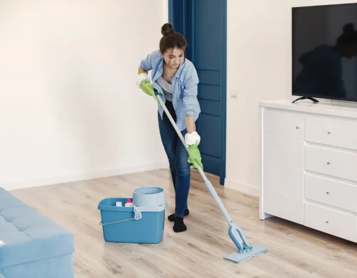 Femme de ménage Épineau-les-Voves